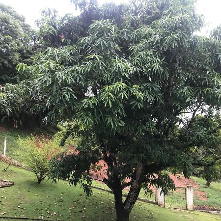 Sitio Dos Rodrigues Villa Lindóia Eksteriør bilde